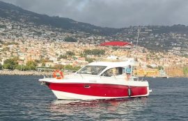 Незабываемые морские приключения на Мадейре с Divine Boats