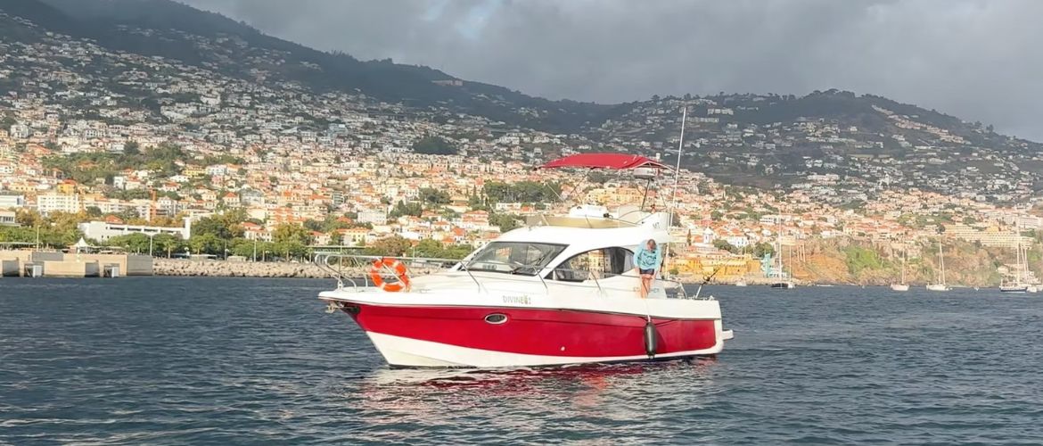 Незабываемые морские приключения на Мадейре с Divine Boats