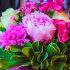 Какие цветы популярны в Париже?