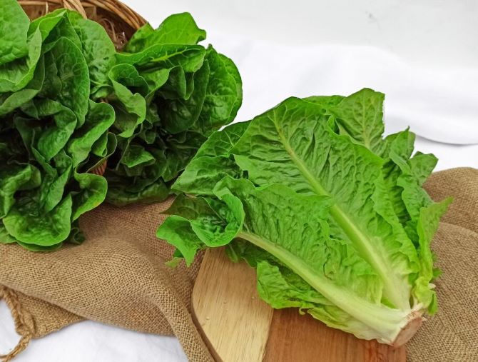 Как сохранить кожу молодой: 8 лучших продуктов для здоровой и сияющей кожи 1