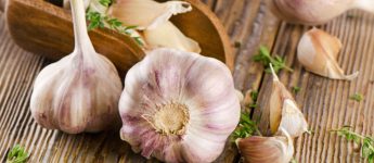ТОП-5 найкорисніших продуктів із пребіотиками, які потрібні для здоров’я