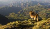 One of the Earth’s continents may be torn apart – scientists
