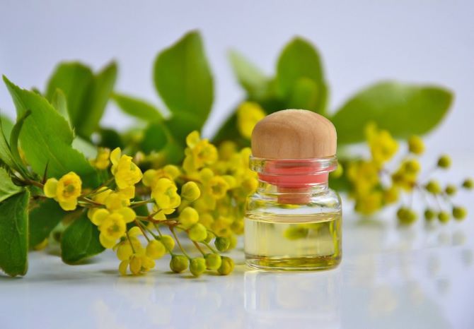 Jojoba Oil in Skin Care: Benefits of Use 1