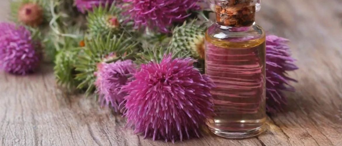 Масло расторопши каждый день: зачем нутрициологи советуют начинать утро с чайной ложки