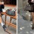 5 fashionable loafer models for fall 2025