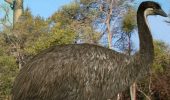 Scientists have named the largest bird in history