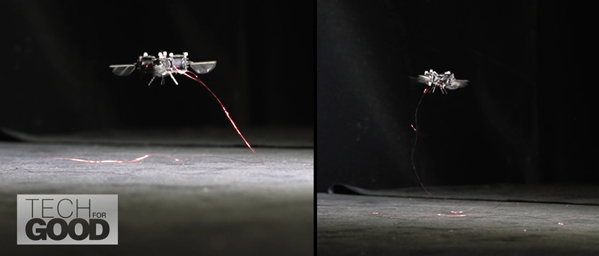 Americans have developed a bumblebee robot that can fly in space