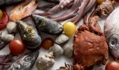«Купи ракушку»: мясо, рыба, морепродукты оптом для бизнеса