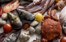 «Купи ракушку»: мясо, рыба, морепродукты оптом для бизнеса