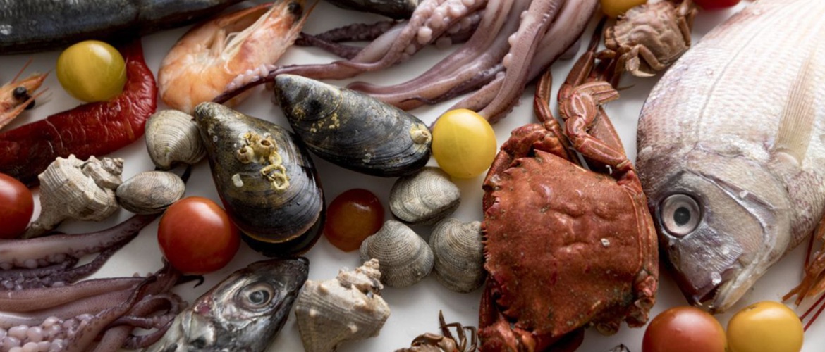 «Купи ракушку»: мясо, рыба, морепродукты оптом для бизнеса