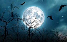 October Full Moon 2025: The First Supermoon of the Year
