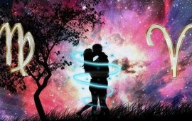 Овен и Дева: совместимость в процентах