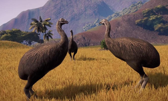 Scientists have named the largest bird in history 1
