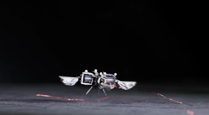 Amerikaner haben einen Hummelroboter entwickelt, der im Weltraum fliegen kann 1