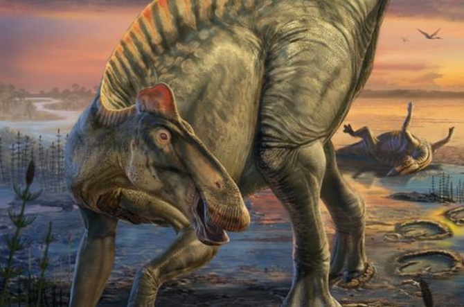 Scientists have discovered unique dinosaur mummies 1