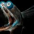 A fish with telescope-like eyes has been discovered in the ocean.