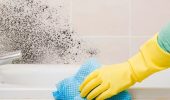 Профессиональное удаление плесени с Eco Ozon: как вернуть в помещение свежесть