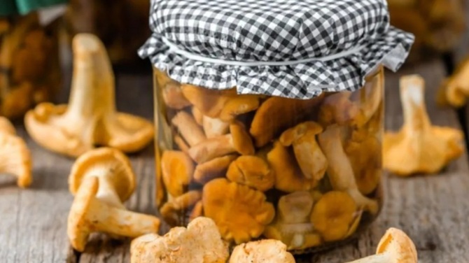 3 Perfect Mushroom Marinades: How to Prepare 3