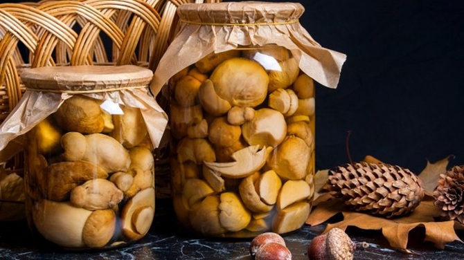 3 Perfect Mushroom Marinades: How to Prepare 1