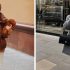 5 must-have предметов верхней одежды на теплую осень: что должно быть в гардеробе