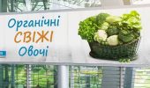 Замовити банер: якісна реклама для бізнесу та подій