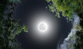 The Full Moon in November 2025 is the brightest Supermoon in Taurus