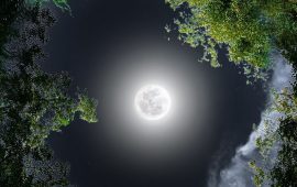 The Full Moon in November 2025 is the brightest Supermoon in Taurus