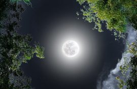 Полнолуние в ноябре 2025 года — самое яркое Суперлуние в Тельце