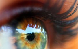 Die Netzhaut signalisiert Herz-Kreislauf-Erkrankungen – Studie