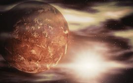 Живі організми можуть виживати у відкритому космосі