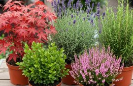 картинка новостей