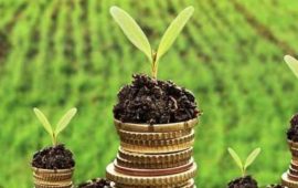 Как найти современный инструмент для сделок в сфере сельского хозяйства