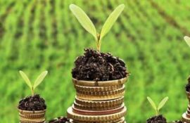 картинка новостей