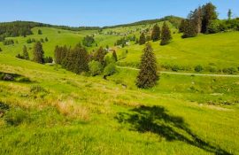 картинка новостей