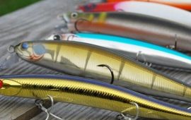 Воблер для риболовлі – як його обрати та яким він може бути