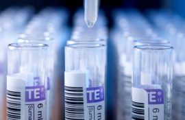 картинка новостей