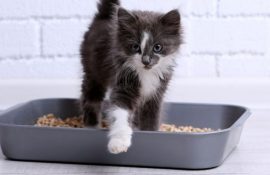 картинка новостей