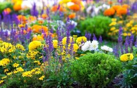 картинка новостей