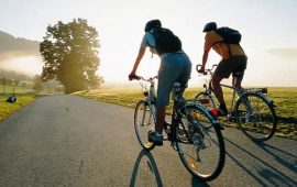 Какой велосипед выбрать в 2026 году с учетом новых тенденций