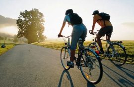 Какой велосипед выбрать в 2026 году с учетом новых тенденций