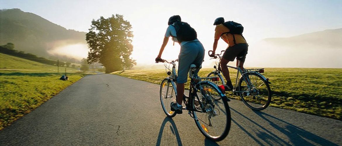 Какой велосипед выбрать в 2026 году с учетом новых тенденций