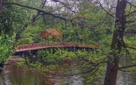 Подорож вихідного дня: Куди поїхати біля Києва та як не залежати від транспорту