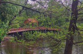 Подорож вихідного дня: Куди поїхати біля Києва та як не залежати від транспорту