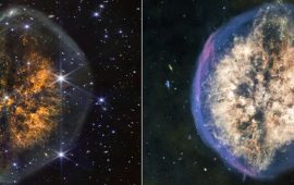 Телескоп Уэбба показал туманность, похожую на мозг человека