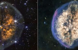 Телескоп Уэбба показал туманность, похожую на мозг человека