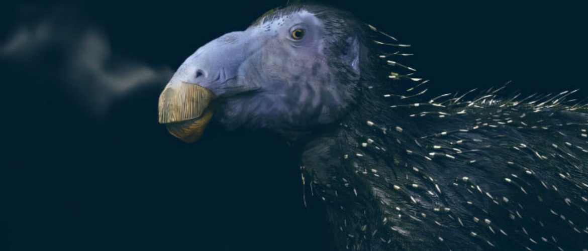 Вчені виявили динозавра з колючками, як у їжака