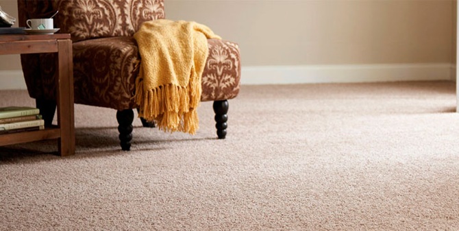 профессиональная химчистка ковров