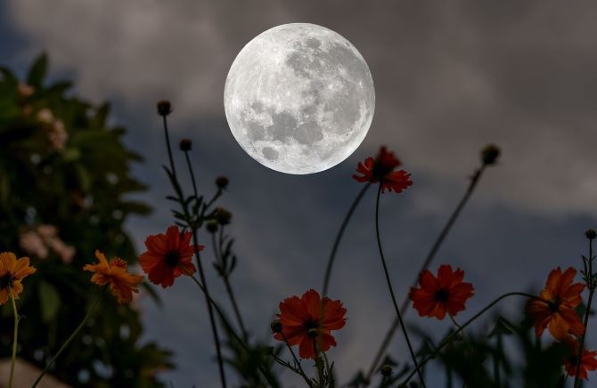 Благоприятные даты марта 2026 года: как использовать фазы Луны для успеха 1