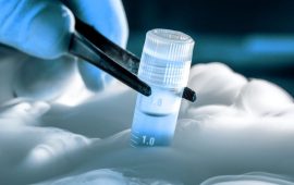 Криоконсервация ооцитов — современная страховка фертильности. Как это работает?