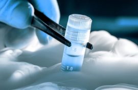 Криоконсервация ооцитов — современная страховка фертильности. Как это работает?